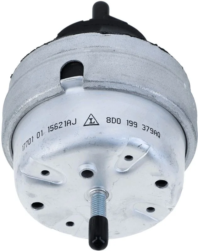 Variklio montavimas LEMFÖRDER 17701 01