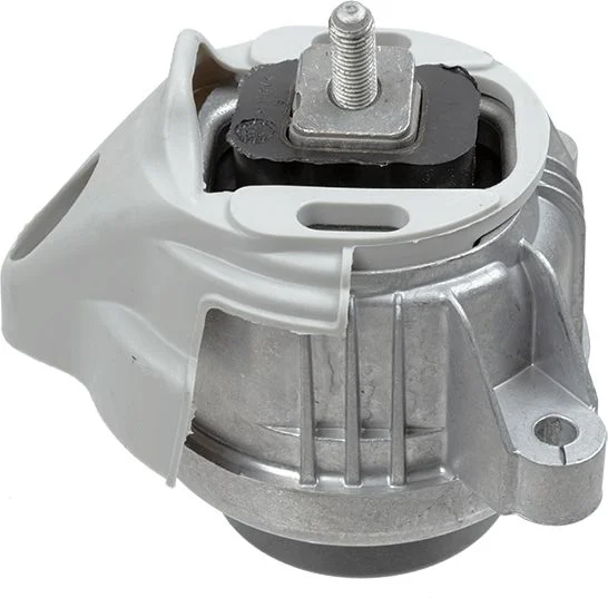 Variklio montavimas LEMFÖRDER 37292 01