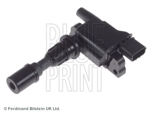 Ritė, uždegimas BLUE PRINT ADM51476