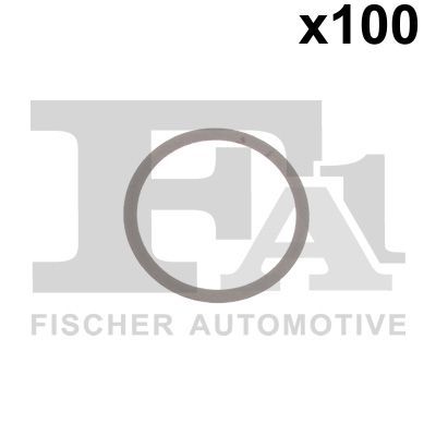 Seal Ring, oil drain plug FA1 067.810.100