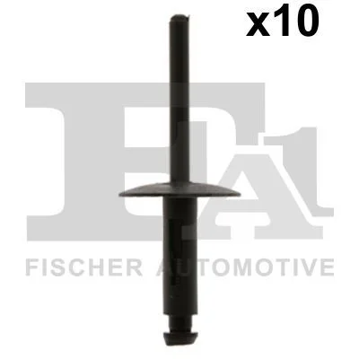 Aklinųjų kniedžių asortimentas FA1 10-20020.10