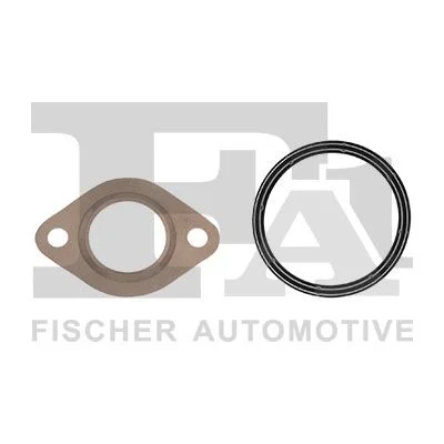 Tarpiklių rinkinys, AGR sistema FIS KG130020E