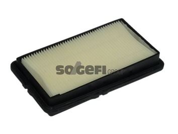 Air Filter PURFLUX A1006