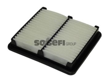 Air Filter PURFLUX A1060