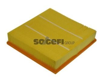 Air Filter PURFLUX A1088