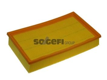 Air Filter PURFLUX A1124