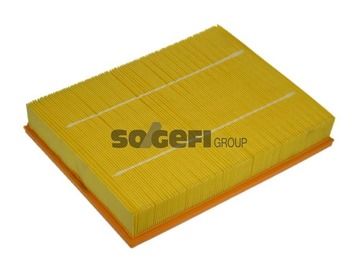 Air Filter PURFLUX A1149