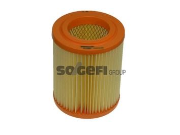 Air Filter PURFLUX A1392