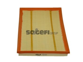 Air Filter PURFLUX A1489