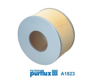Oro filtras PURFLUX A1823