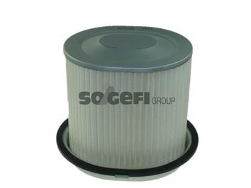 Air Filter PURFLUX A308