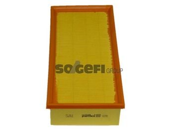 Air Filter PURFLUX A398