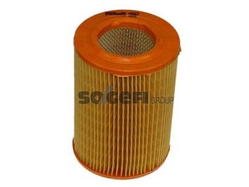 Air Filter PURFLUX A863