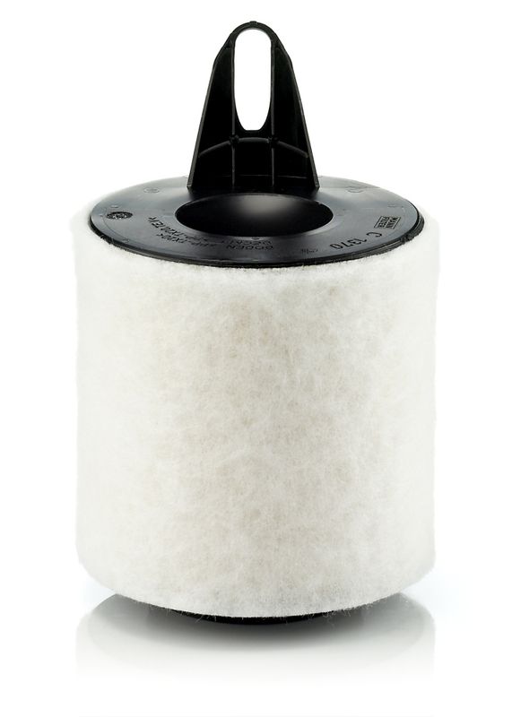 Oro filtras MANN-FILTER C1370