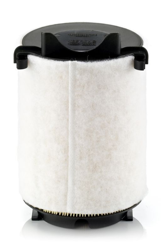 Oro filtras MANN-FILTER C14130/1