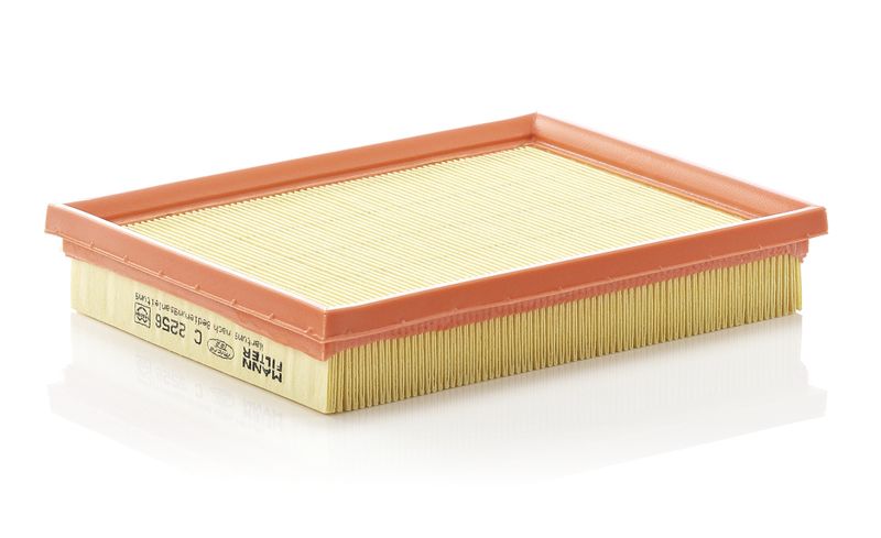 Oro filtras MANN-FILTER C2256