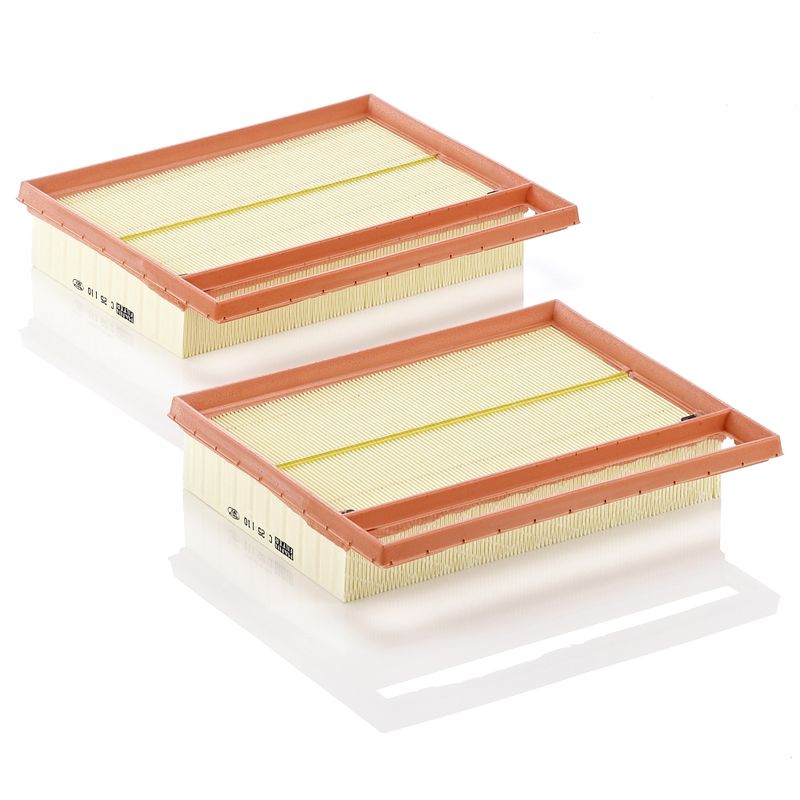 Oro filtras MANN-FILTER C25110-2