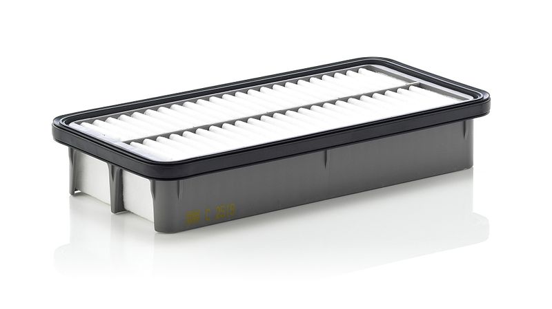 Повітряний фільтр MANN-FILTER C2519