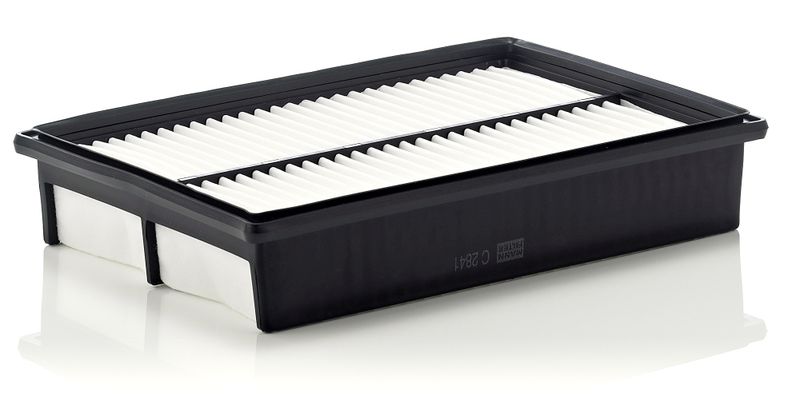 Oro filtras MANN-FILTER C2841