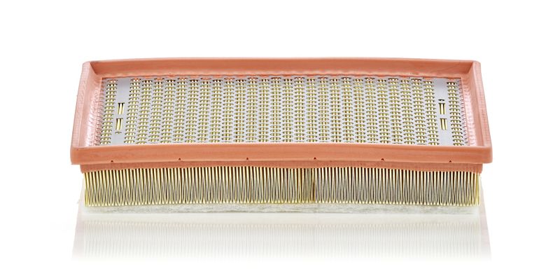 Oro filtras MANN-FILTER C30170/1