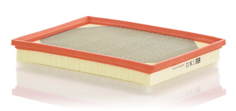 Air Filter MANN-FILTER C36172