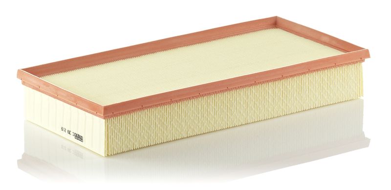 Air Filter MANN-FILTER C39219