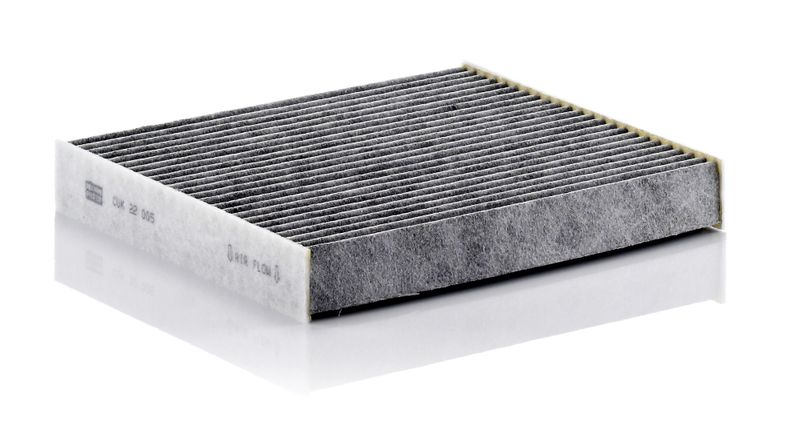 Filtras, salono oras MANN-FILTER CUK22005