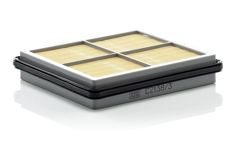 Oro filtras MANN-FILTER C2138/3