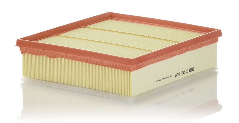Повітряний фільтр MANN-FILTER C 22 039