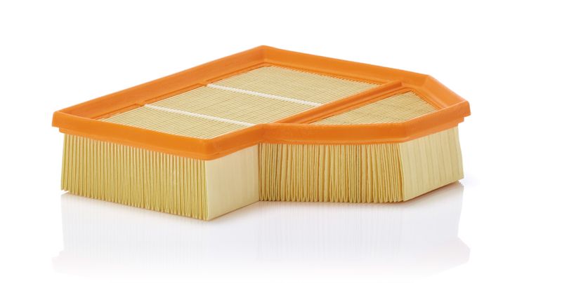 Oro filtras MANN-FILTER C 25 112