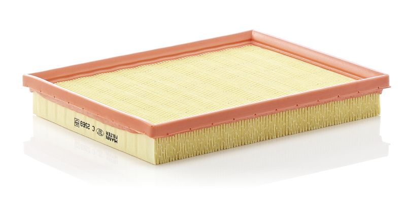 Oro filtras MANN-FILTER C 2569