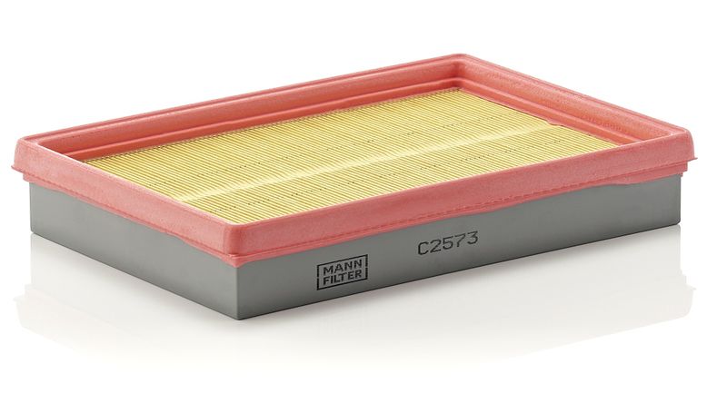 Oro filtras MANN-FILTER C 2573