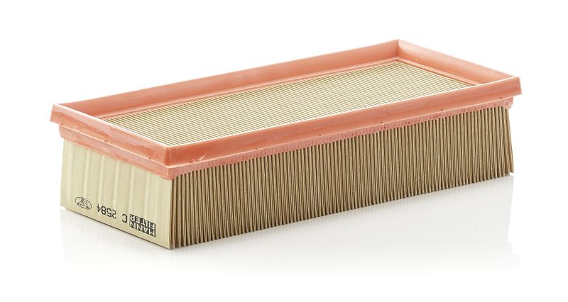 Oro filtras MANN-FILTER C 2584