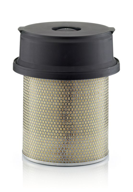 Oro filtras MANN-FILTER C291219/1