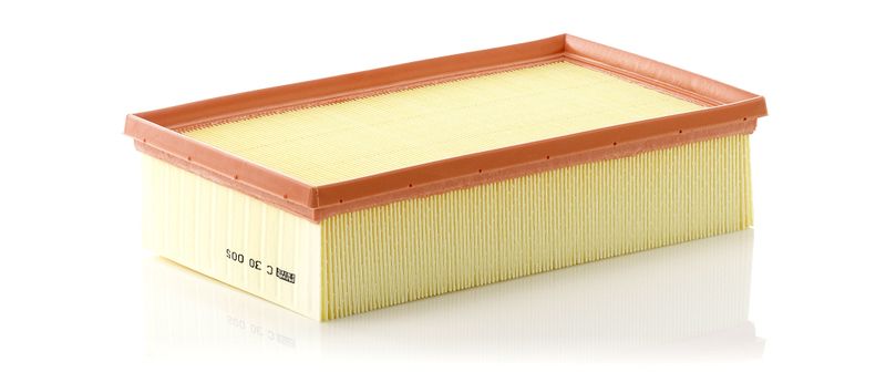 Oro filtras MANN-FILTER C30005