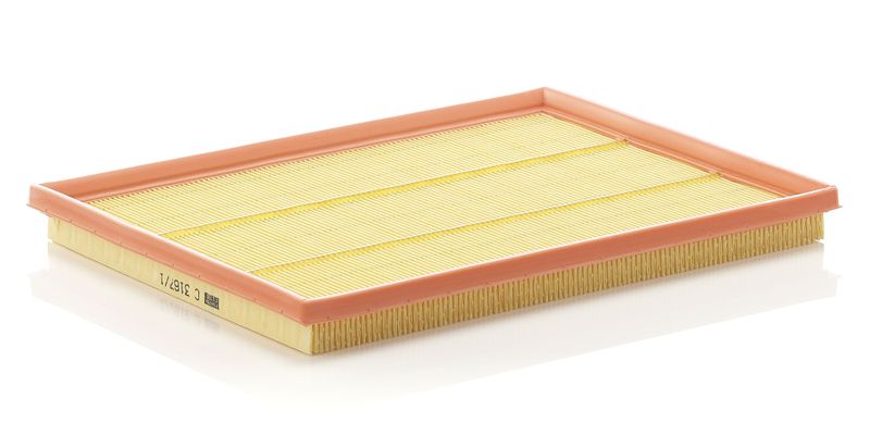 Oro filtras MANN-FILTER C 3167/1