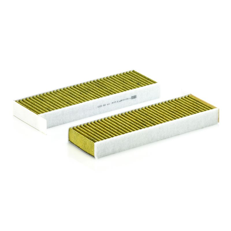 Filter, cabin air MANN-FILTER FP 29 003-2