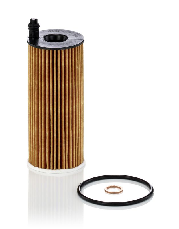 Alyvos filtras MANN-FILTER HU 6004 x