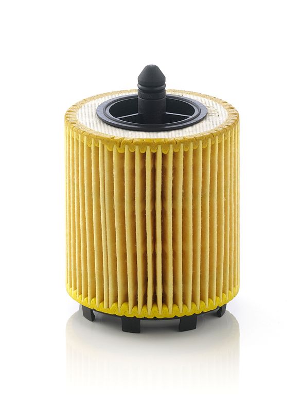 Oil Filter MANN-FILTER HU6007X