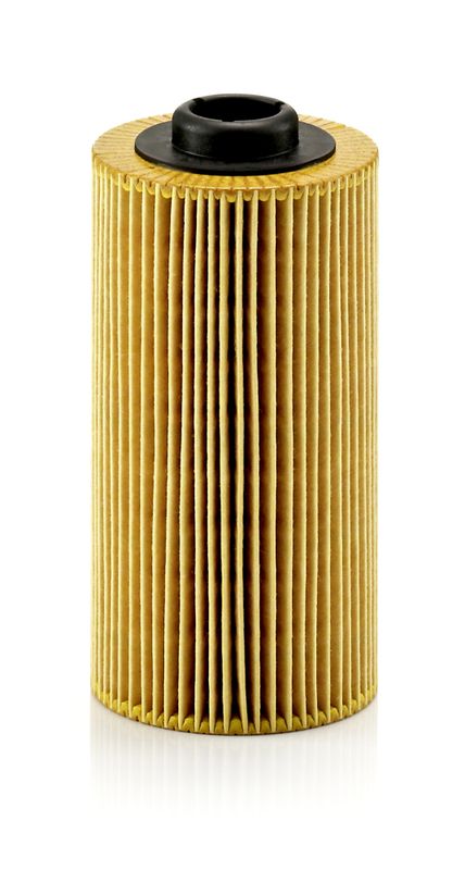 Oil Filter MANN-FILTER HU938/4X