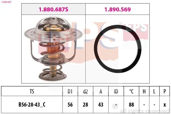 Termostatas, aušinimo skystis EPS 1.880.687