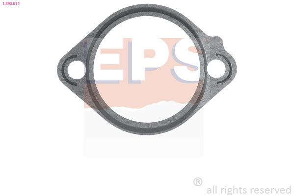 Seal, thermostat EPS 1.890.514