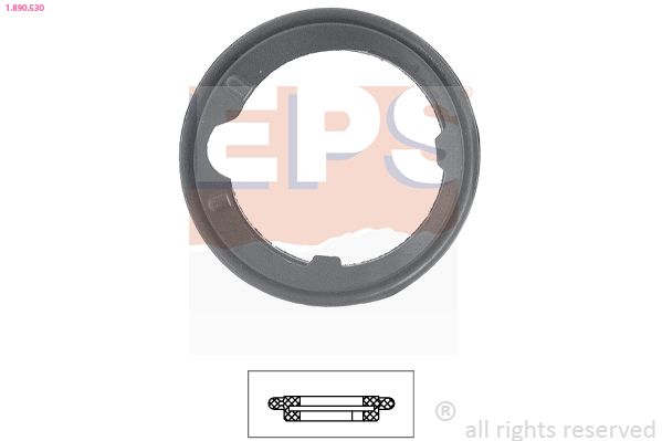 Seal, thermostat EPS 1.890.530