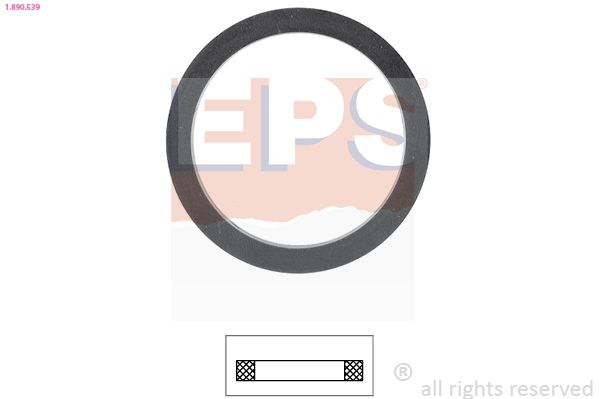 Seal, thermostat EPS 1.890.539