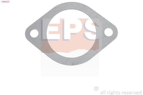 Seal, thermostat EPS 1.890.557