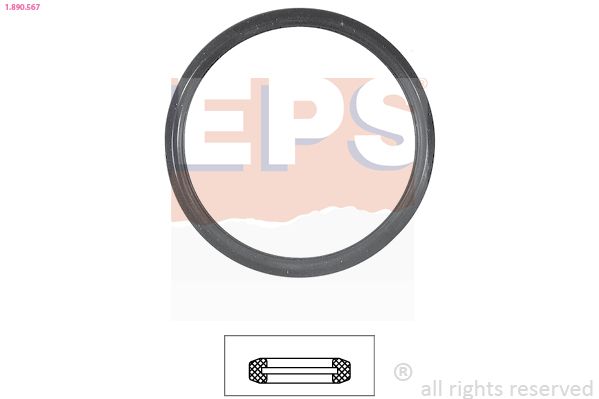 Seal, thermostat EPS 1.890.567