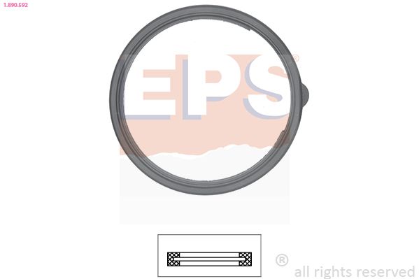 Seal, thermostat EPS 1.890.592