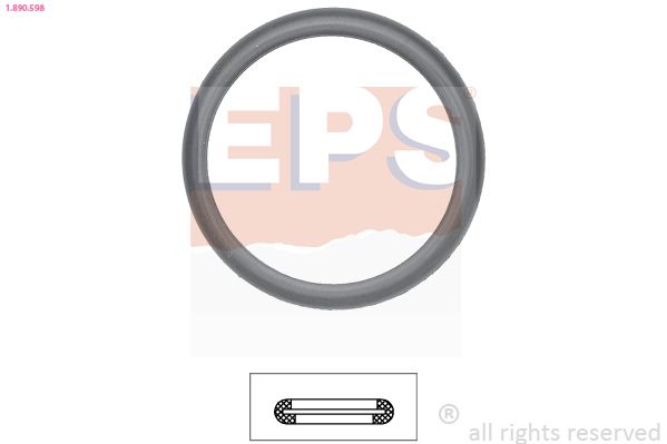 Seal, thermostat EPS 1.890.598