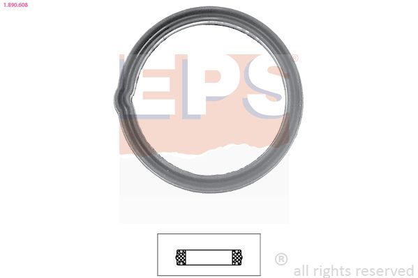 Seal, thermostat EPS 1.890.608