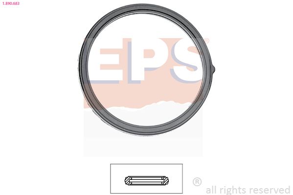 Seal, thermostat EPS 1.890.683